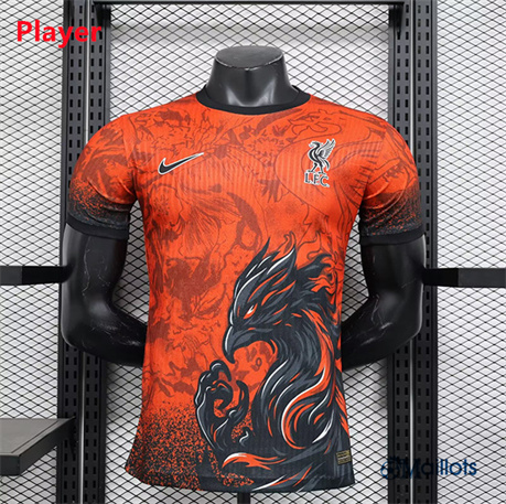 Maillot football FC Liverpool Player Spéciale 2024-2025